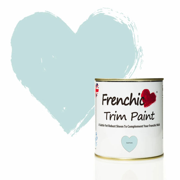 Ice Man Trim Paint -500ml